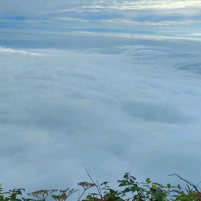 ❤️❤️且珍🌲惜💘💘