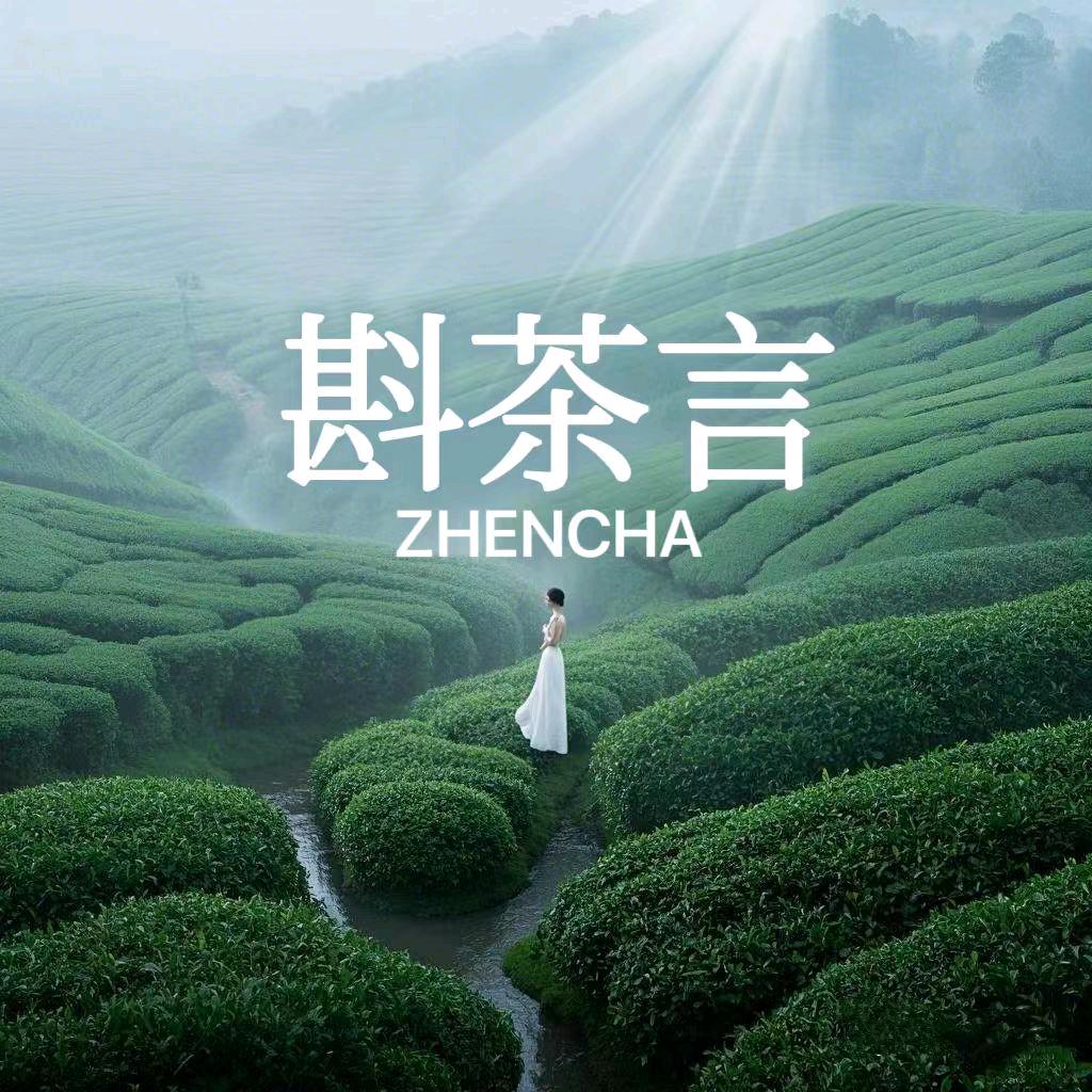 斟茶言(安康万达总店)