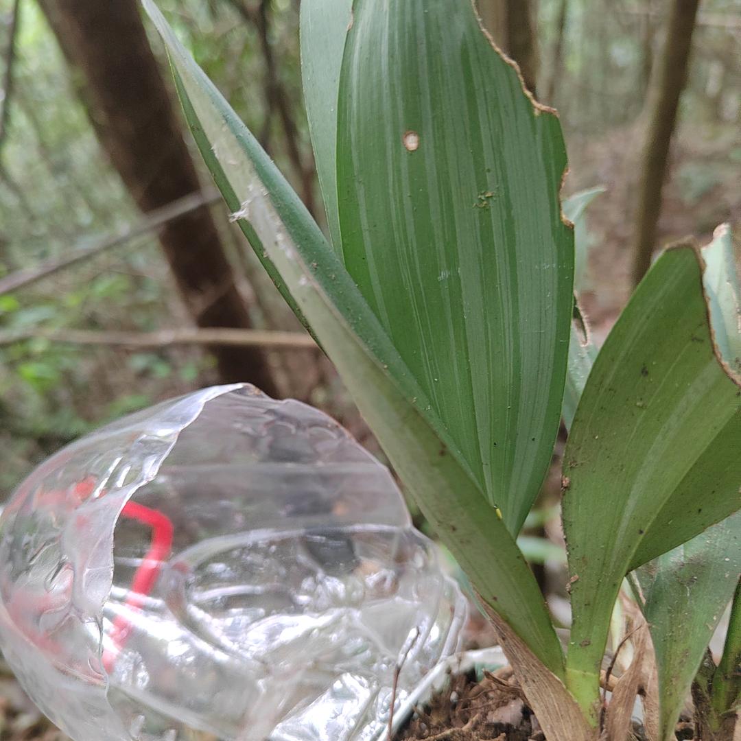 只要你能过得好