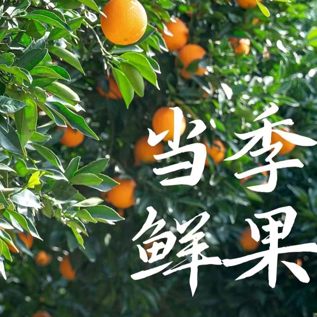 橙心🍊橙意🍊🌧 819