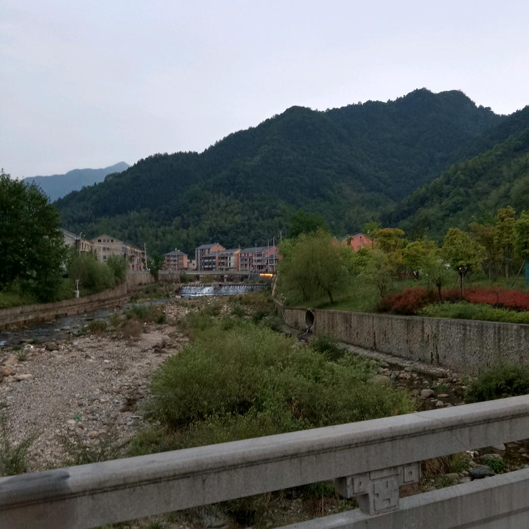 苹果姐