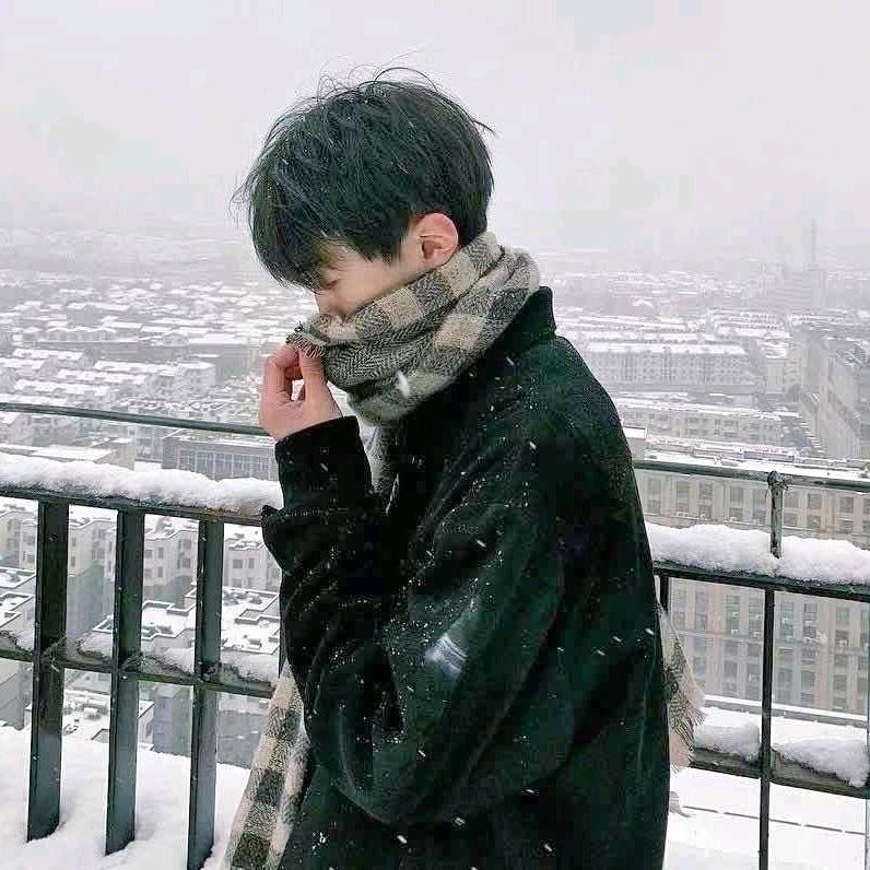 陈皮柚子