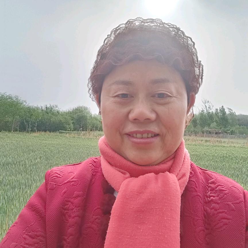 孙丽