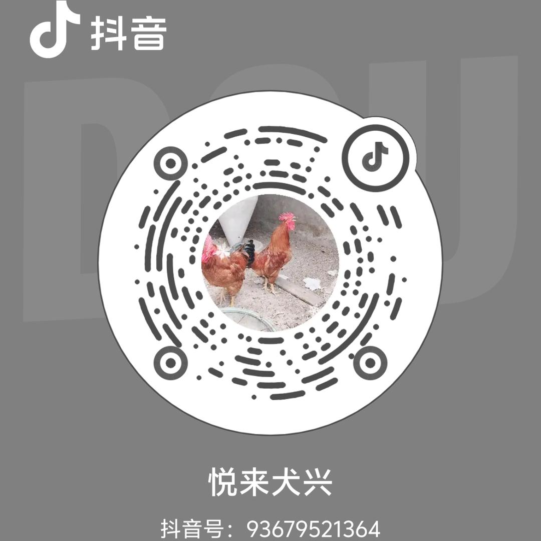 悦来犬兴
