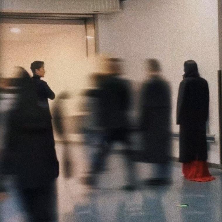 咸鱼仔🍋（偏爱版）