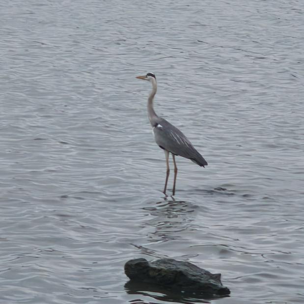 告别的都是过去，未来的都是惊喜。