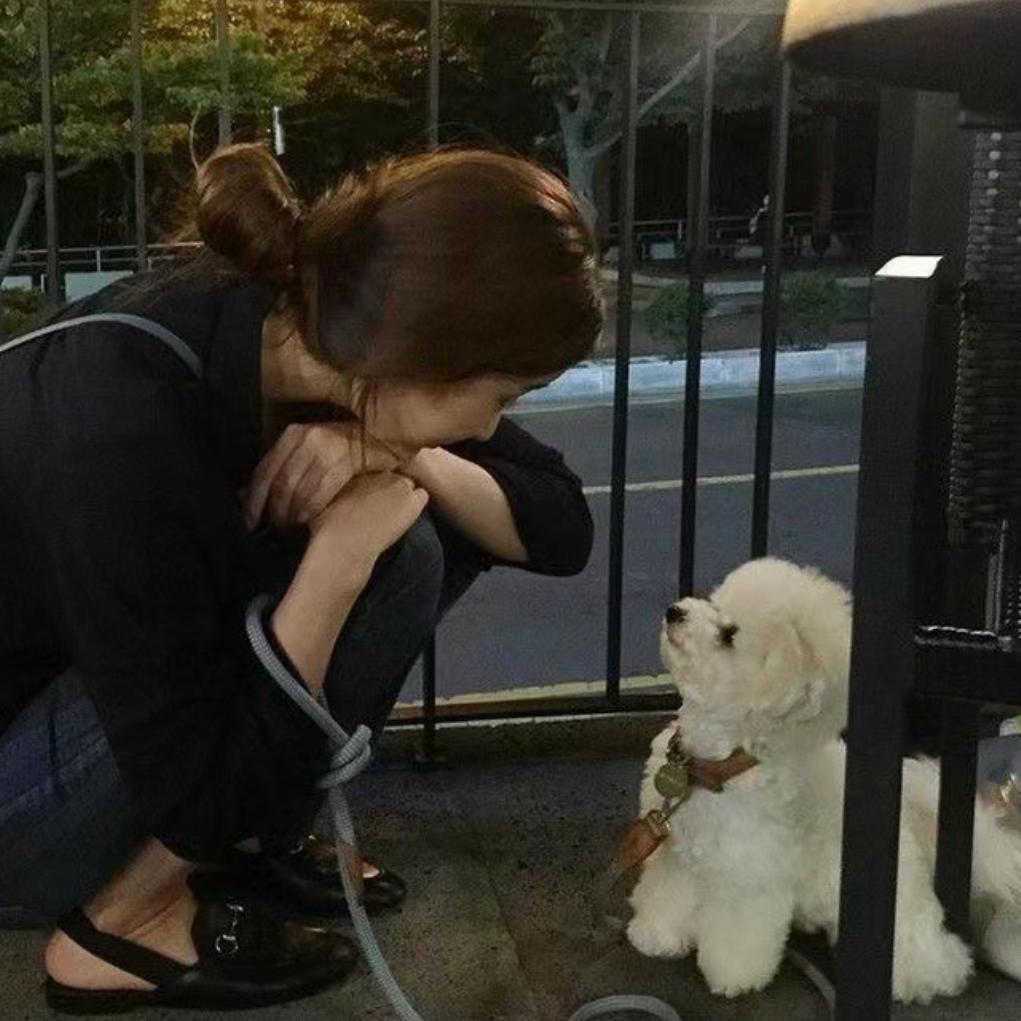 你脸才圆呢🙅