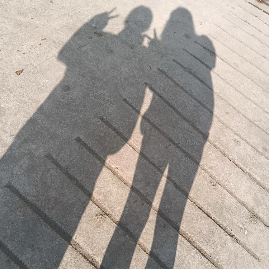 做芋泥饼的小陆