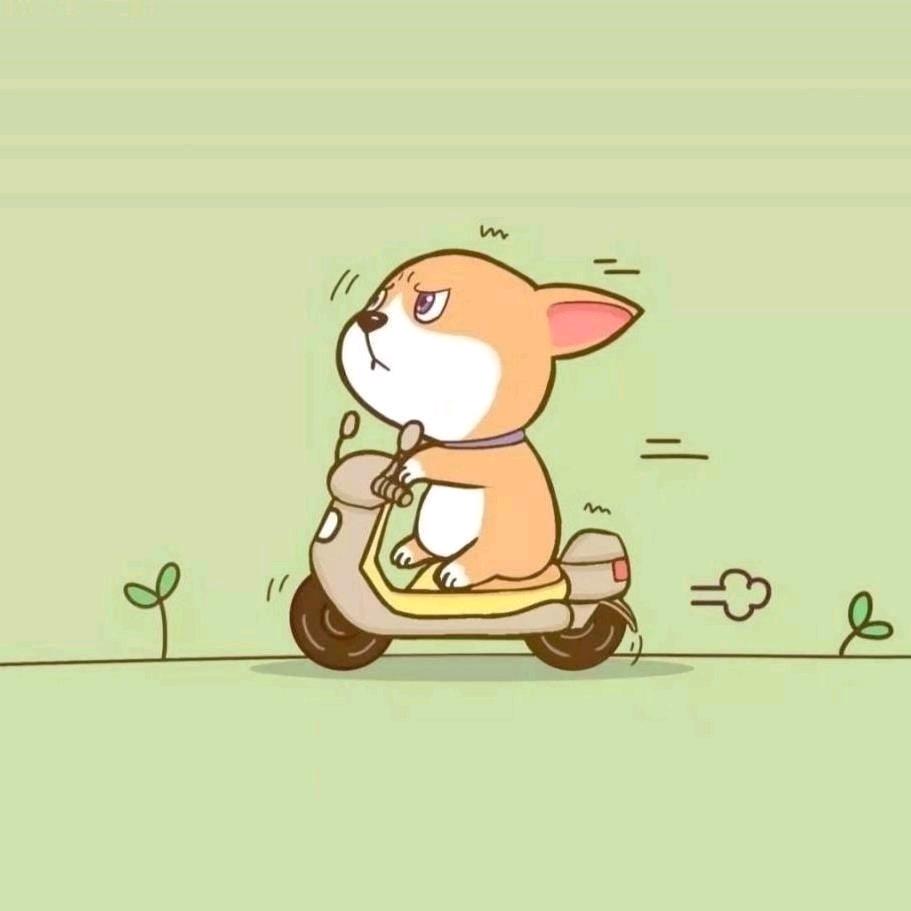 流浪的鸡蛋🥚