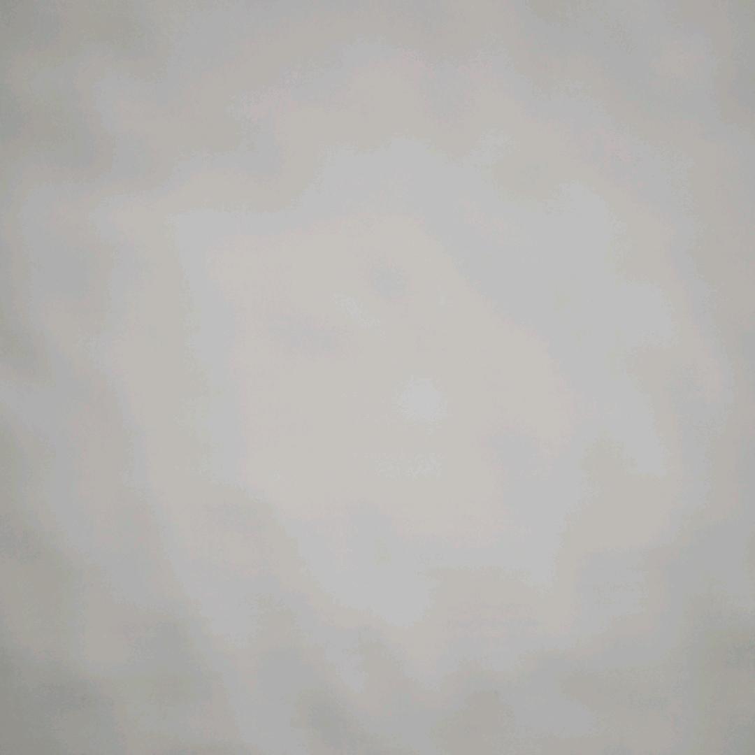 @戒备✨️(5158)