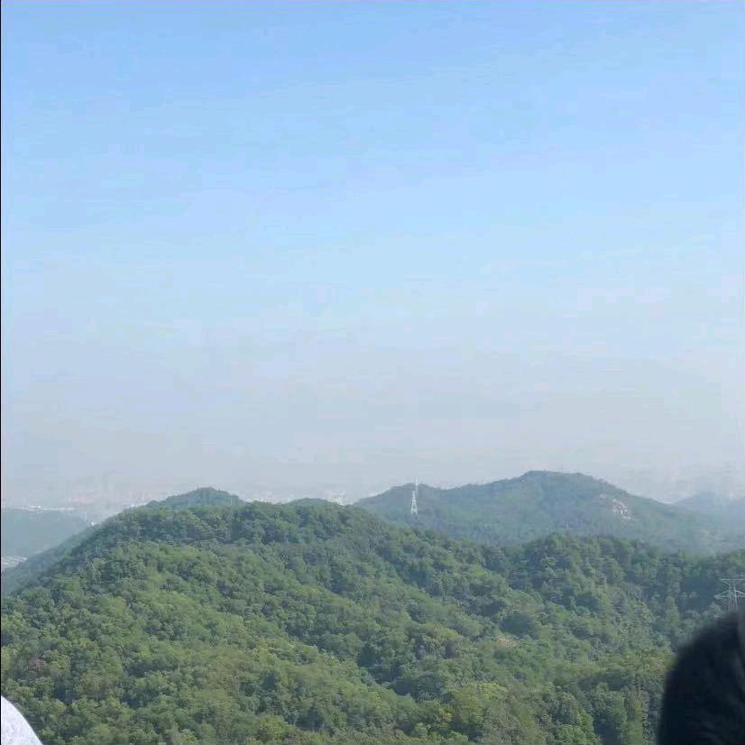 幸运草
