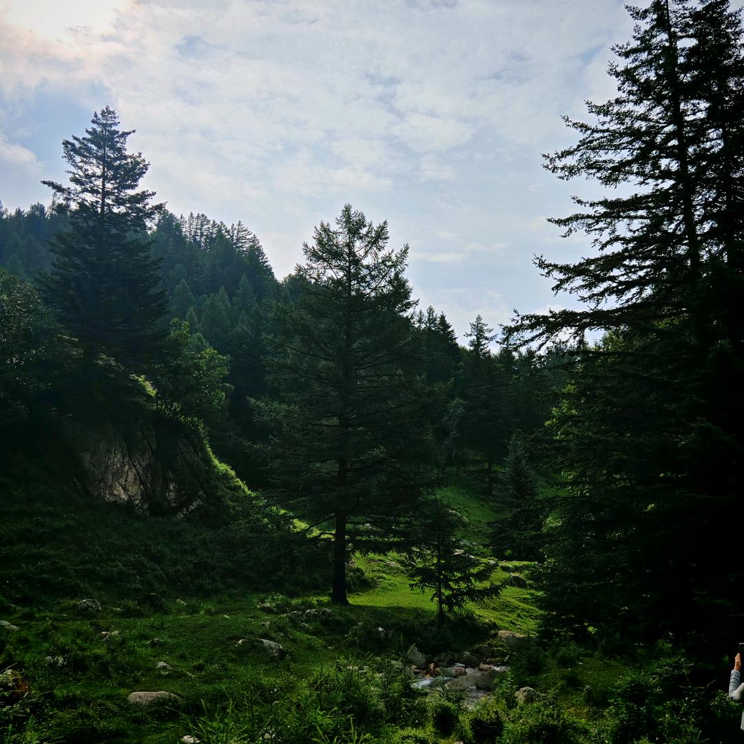 石家庄花火商贸有限公司