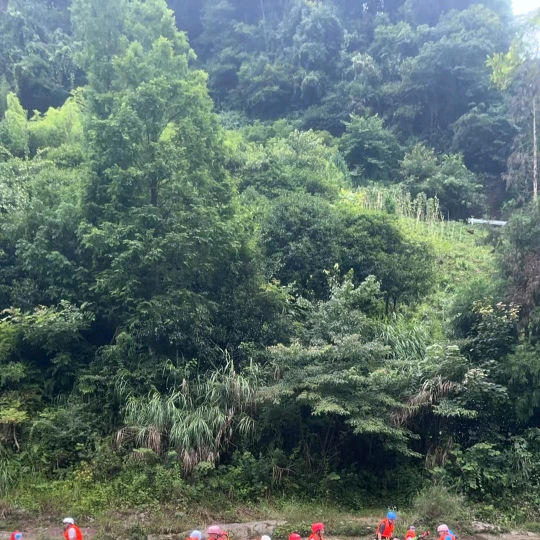 大浪淘沙