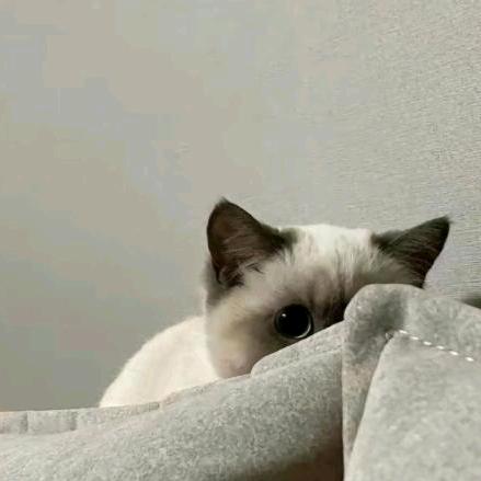 行运超人