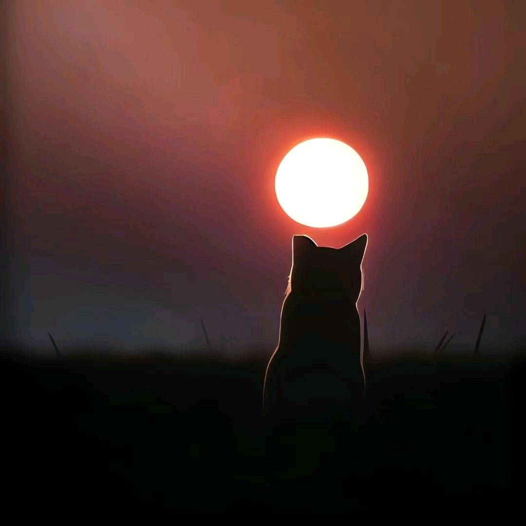境