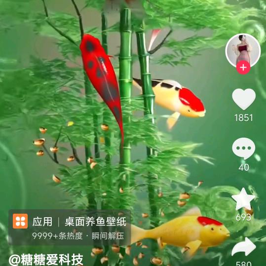 燕清