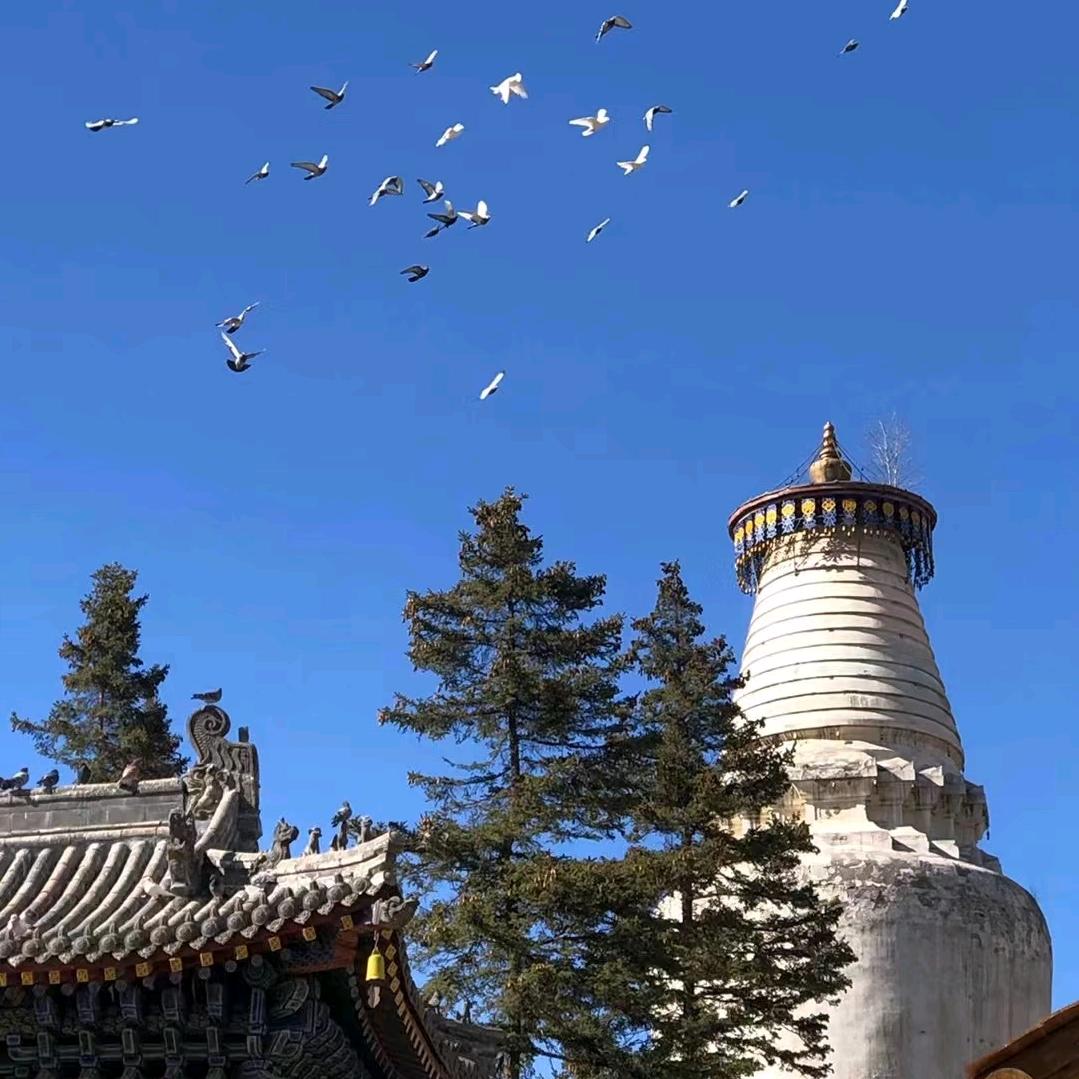 玄同居士（主页视频）