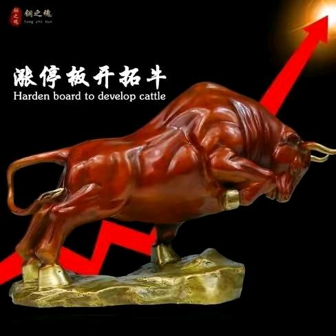 中国东方炒家