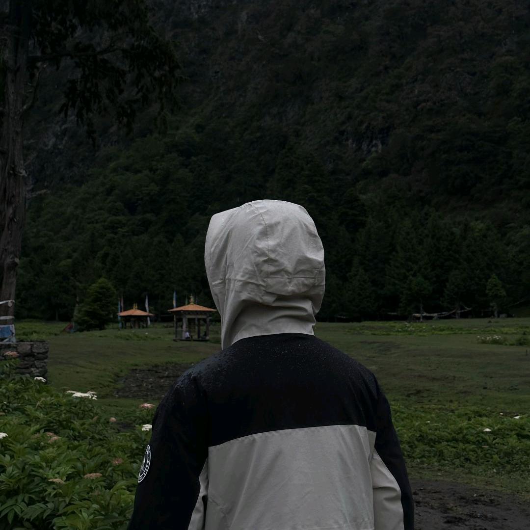 张万森☔️