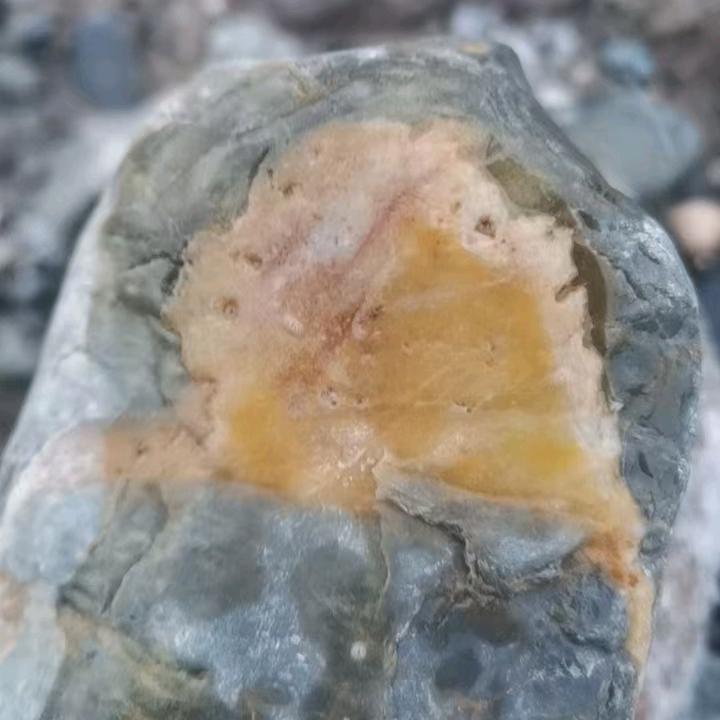 长的丑站的稳