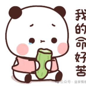 布布的乖一二