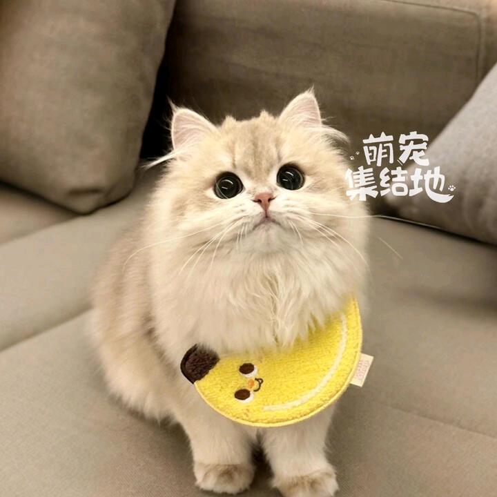 用户1824030200774