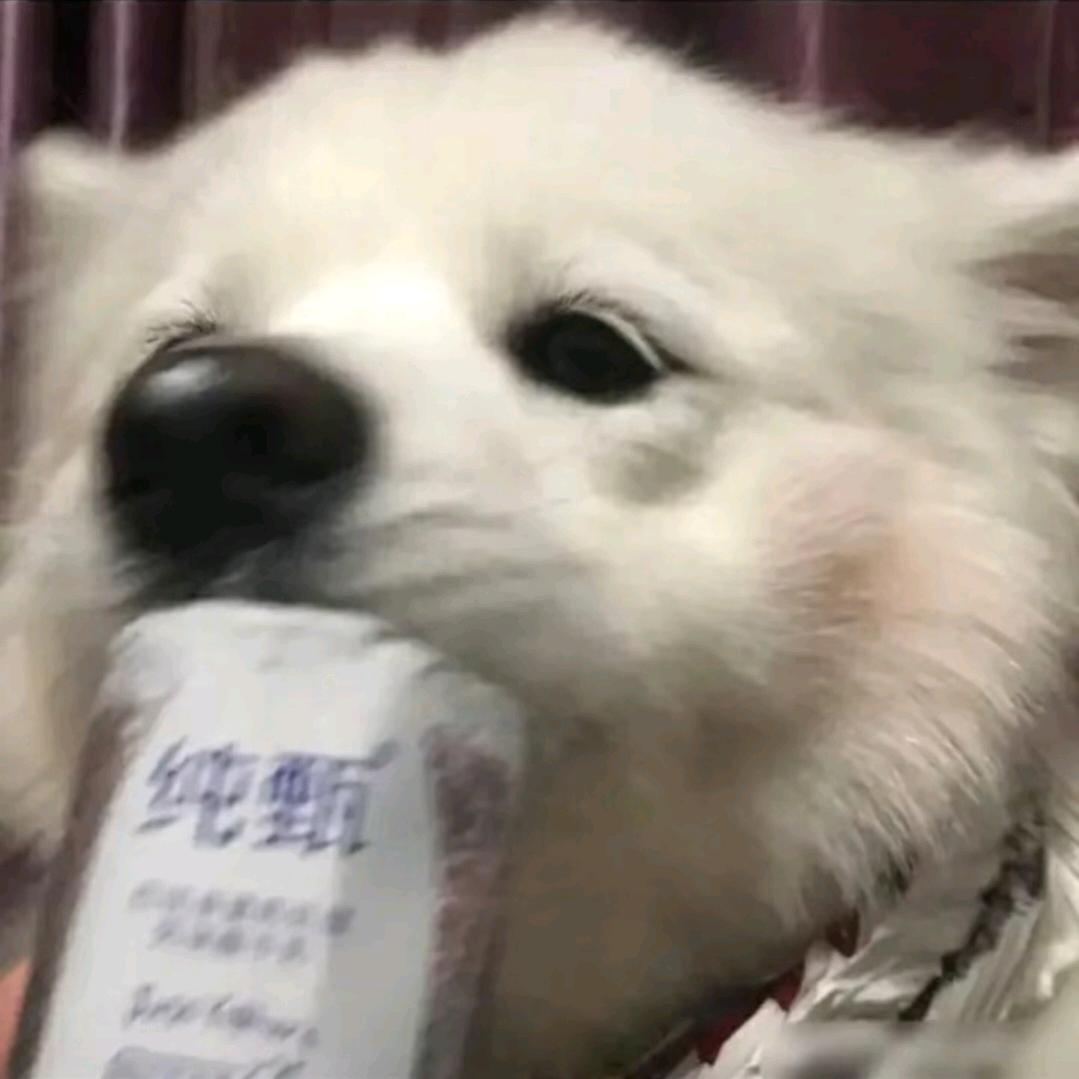 快快乐乐.