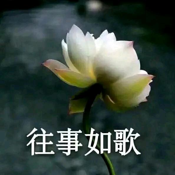 筒悟.