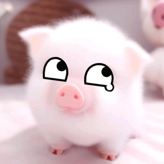 唉 小圆