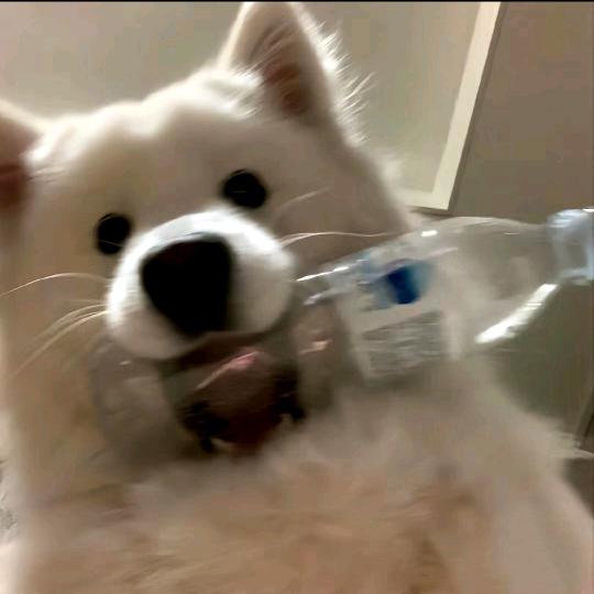 八九点钟的太阳