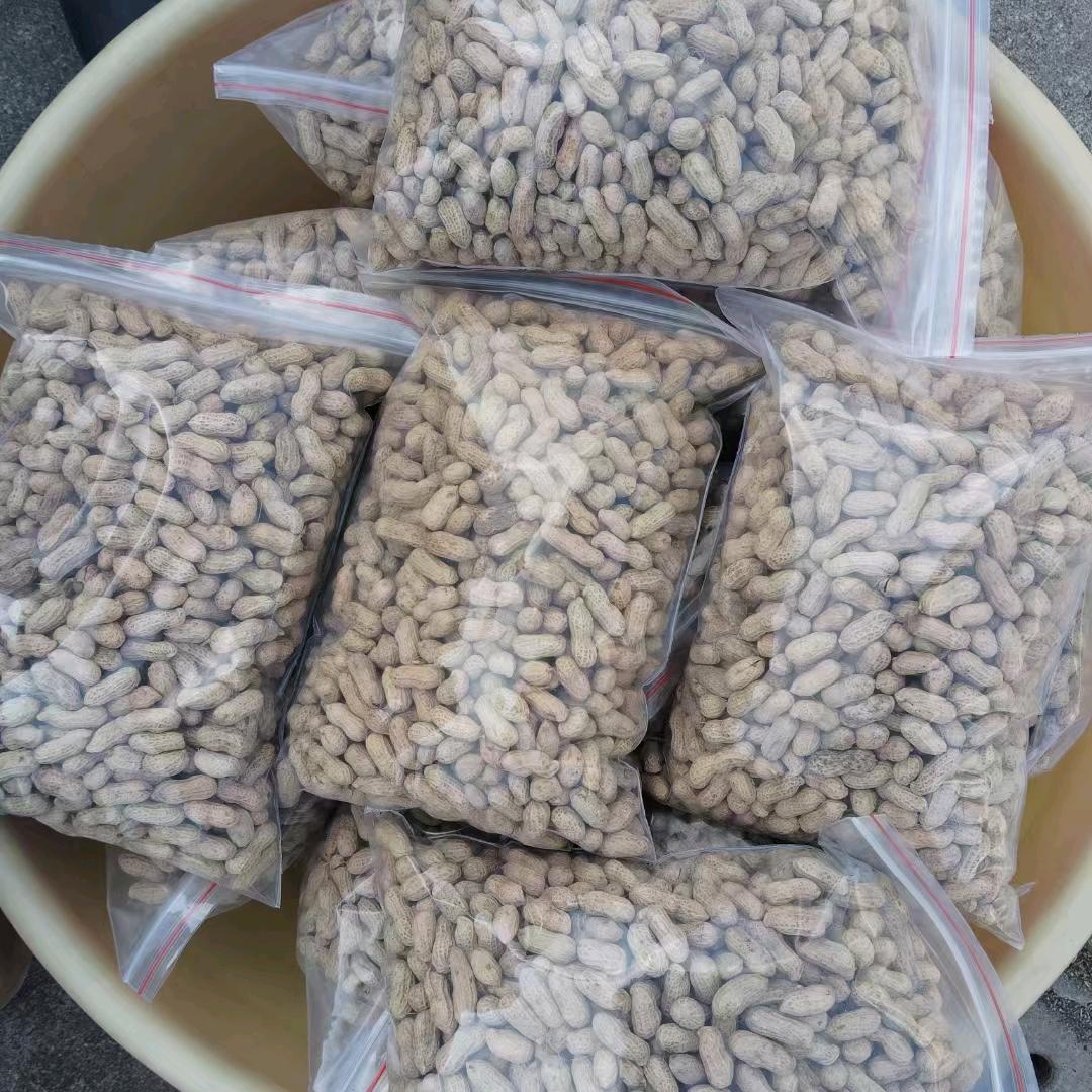 黎若武台冲有自己种的卖本地花生、专业店