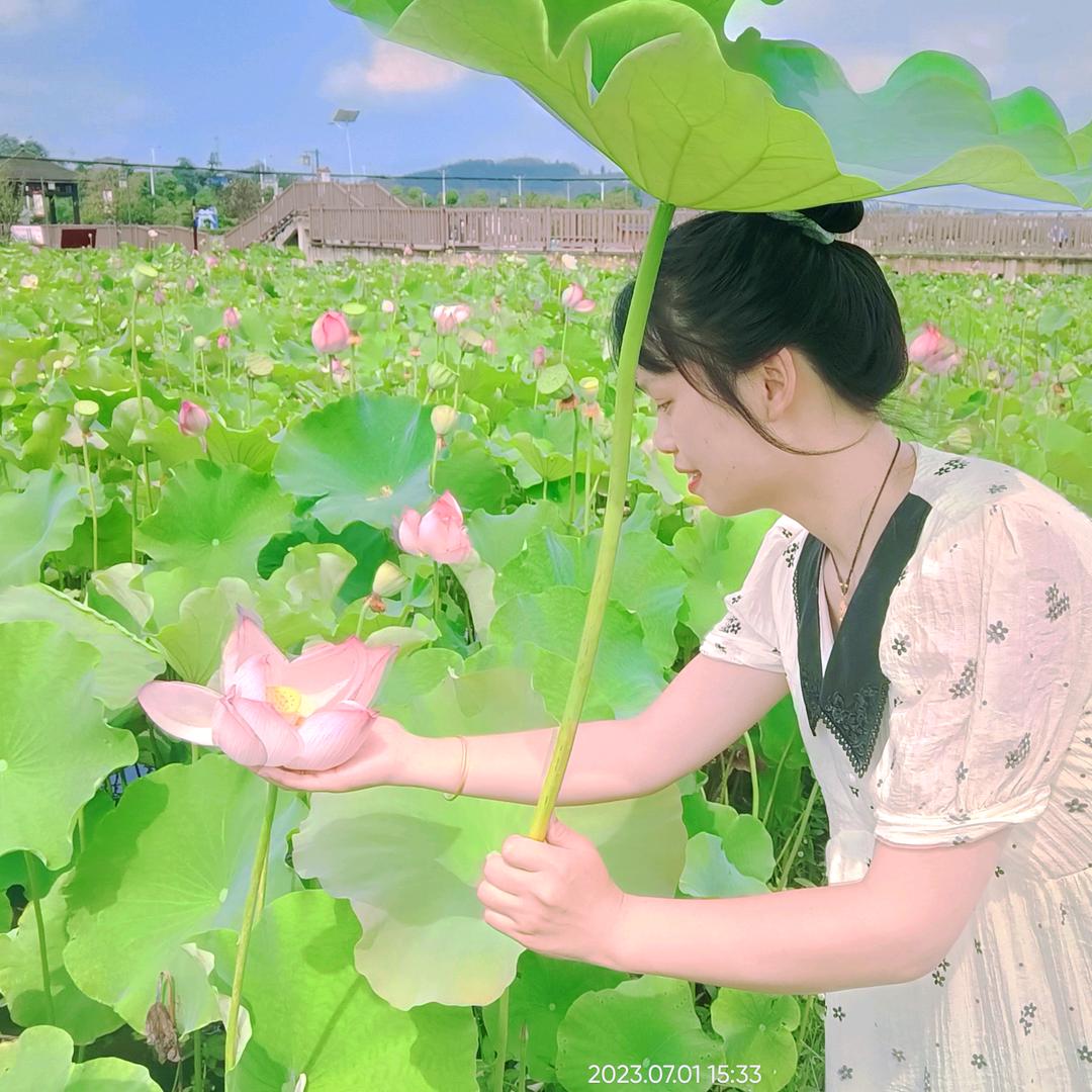 半枝桃