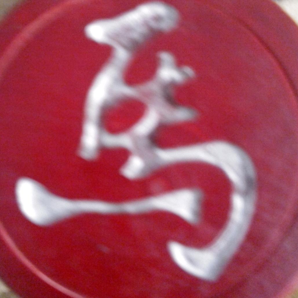 周双大师哥🌹🌹