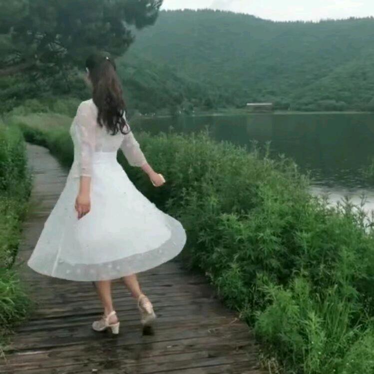 鱼儿6580