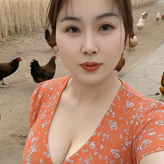 农村小雅
