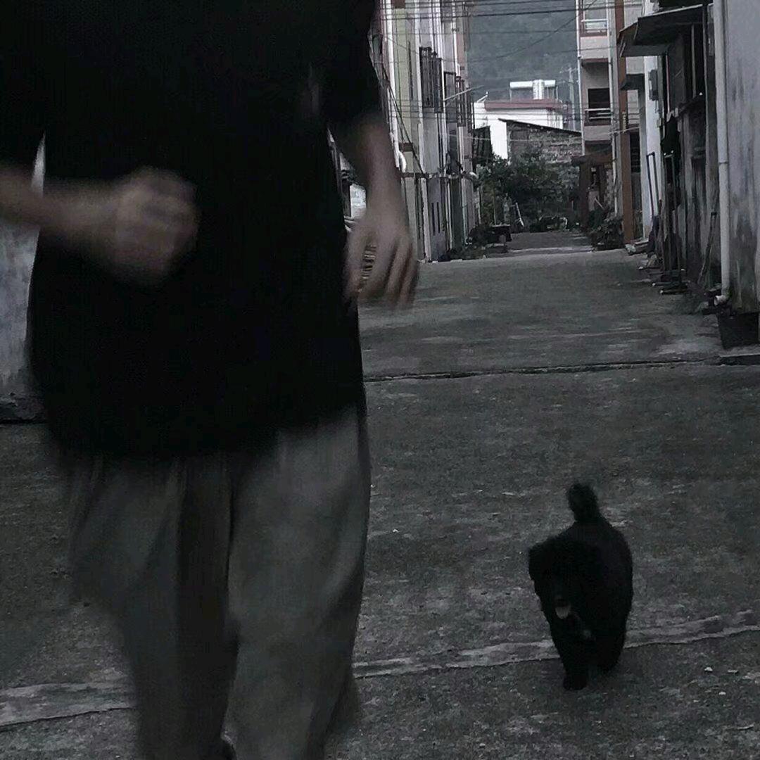 薯条薯条