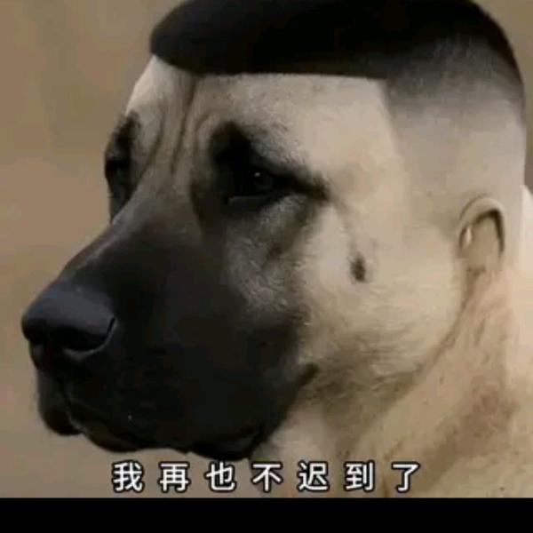 用户88888888