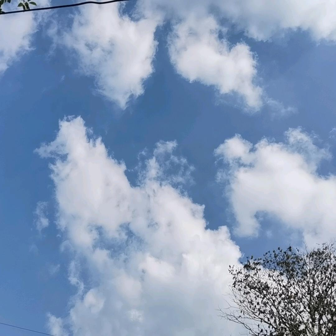 年华似水@