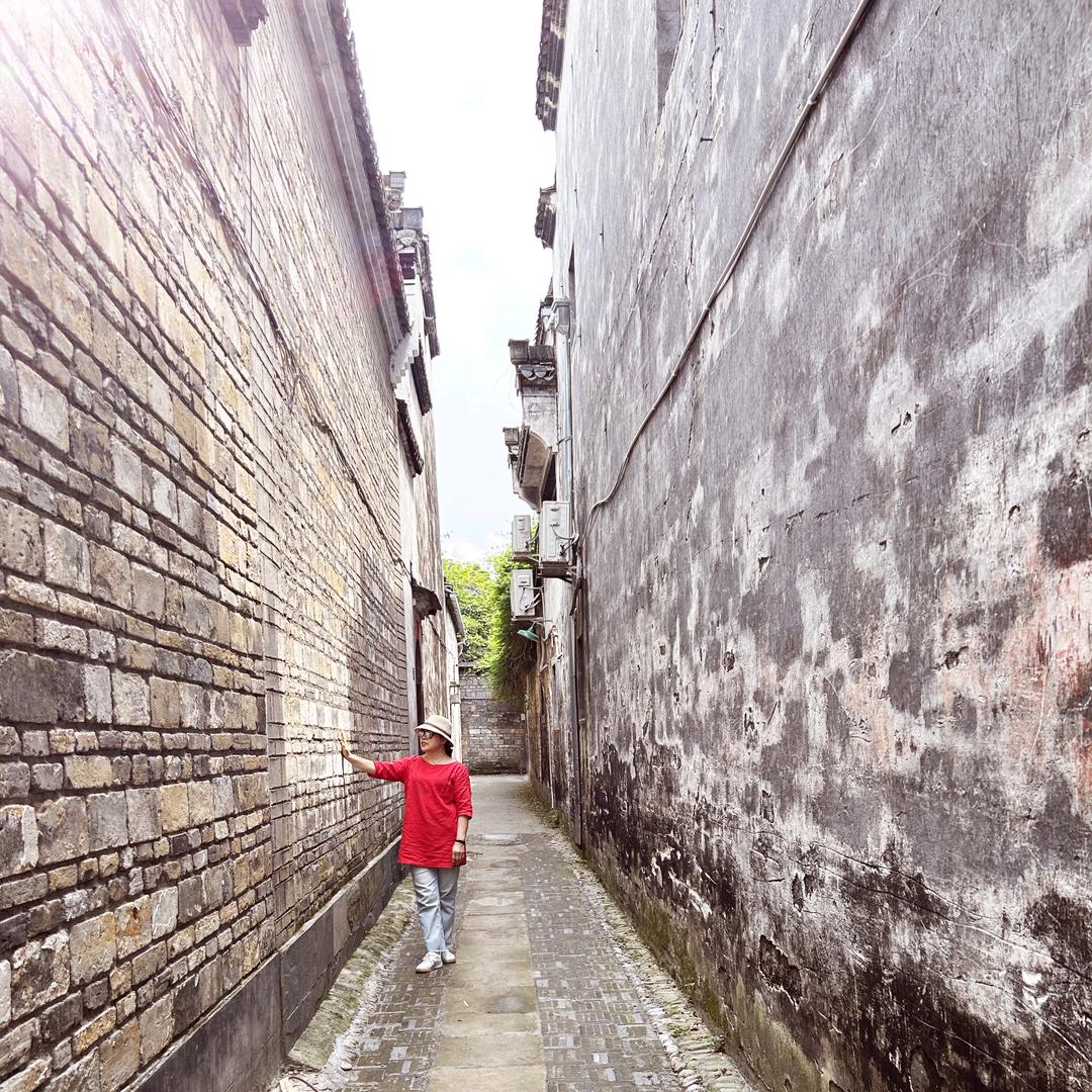 金阳光