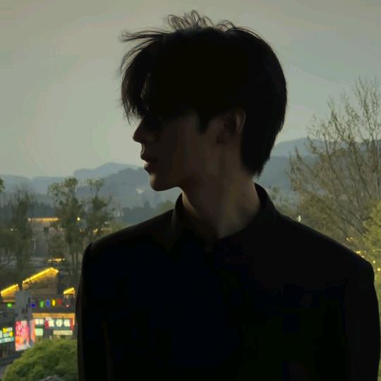 《X》
