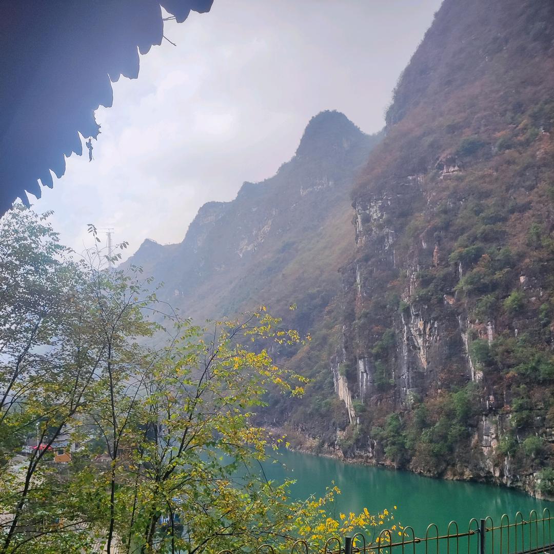 傲了一生败给情