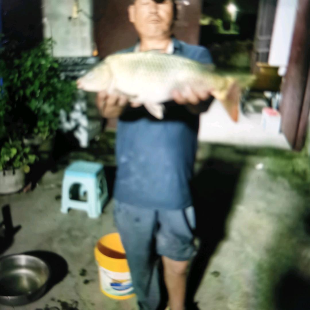侯哥创业