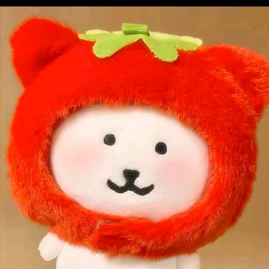 一颗小橙子