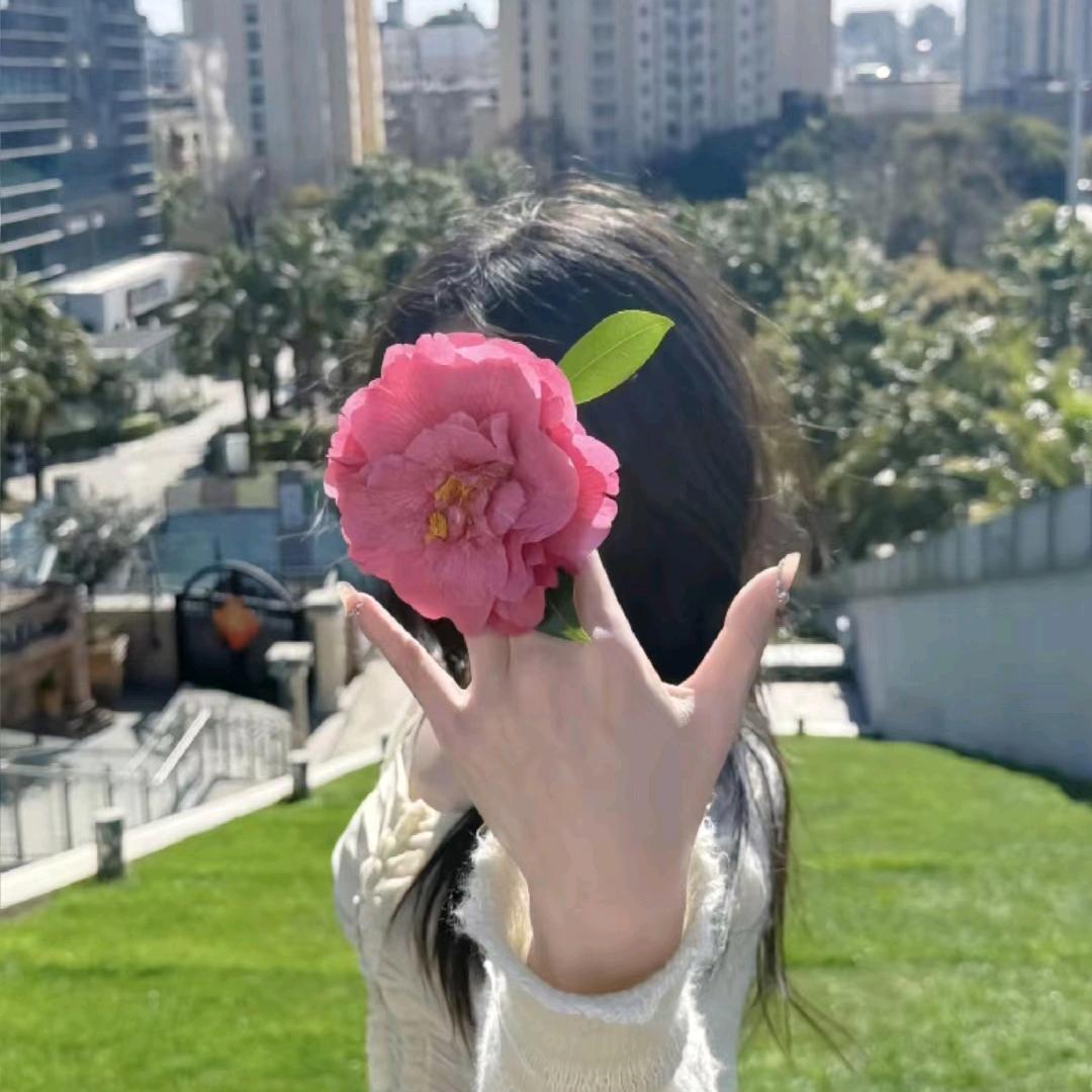 花落白鸽
