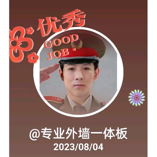 专业外墙一体板