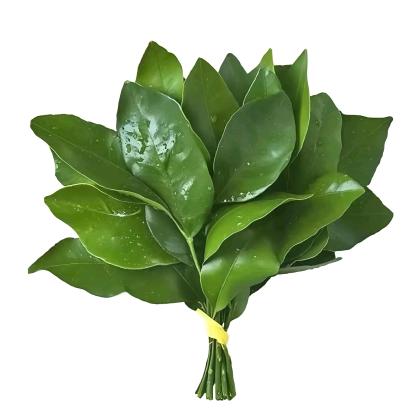 沁沁