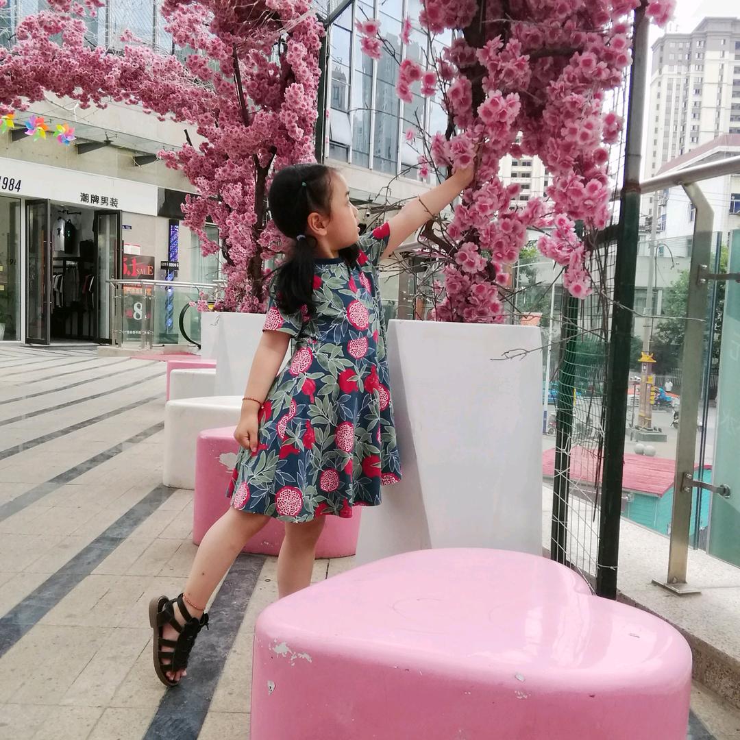 啊芳诗蕊