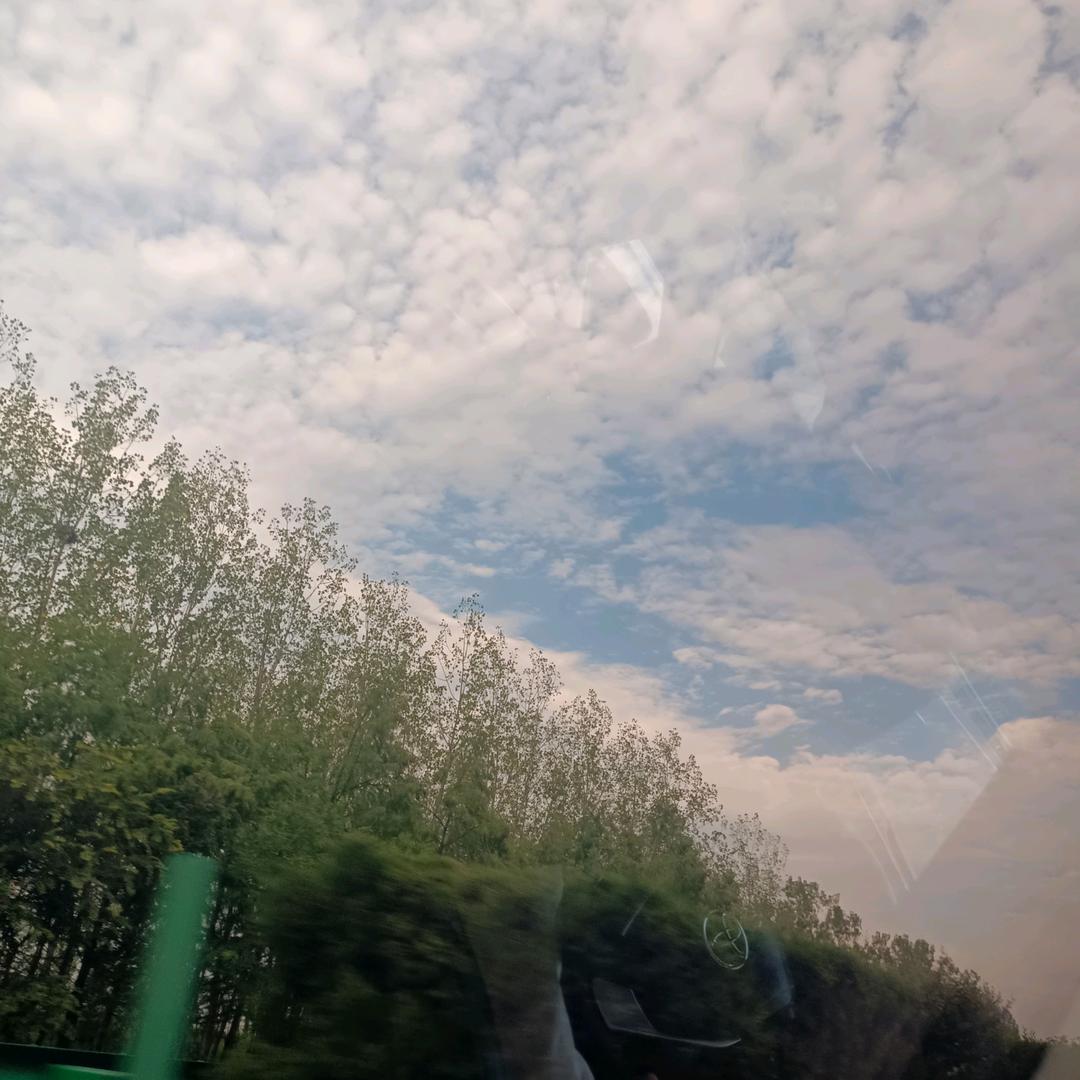 用户4223499783835
