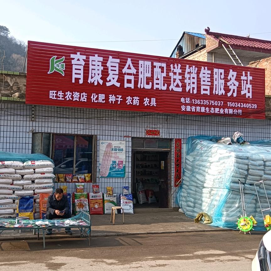 对竹加油站三旦良心种子化肥销售