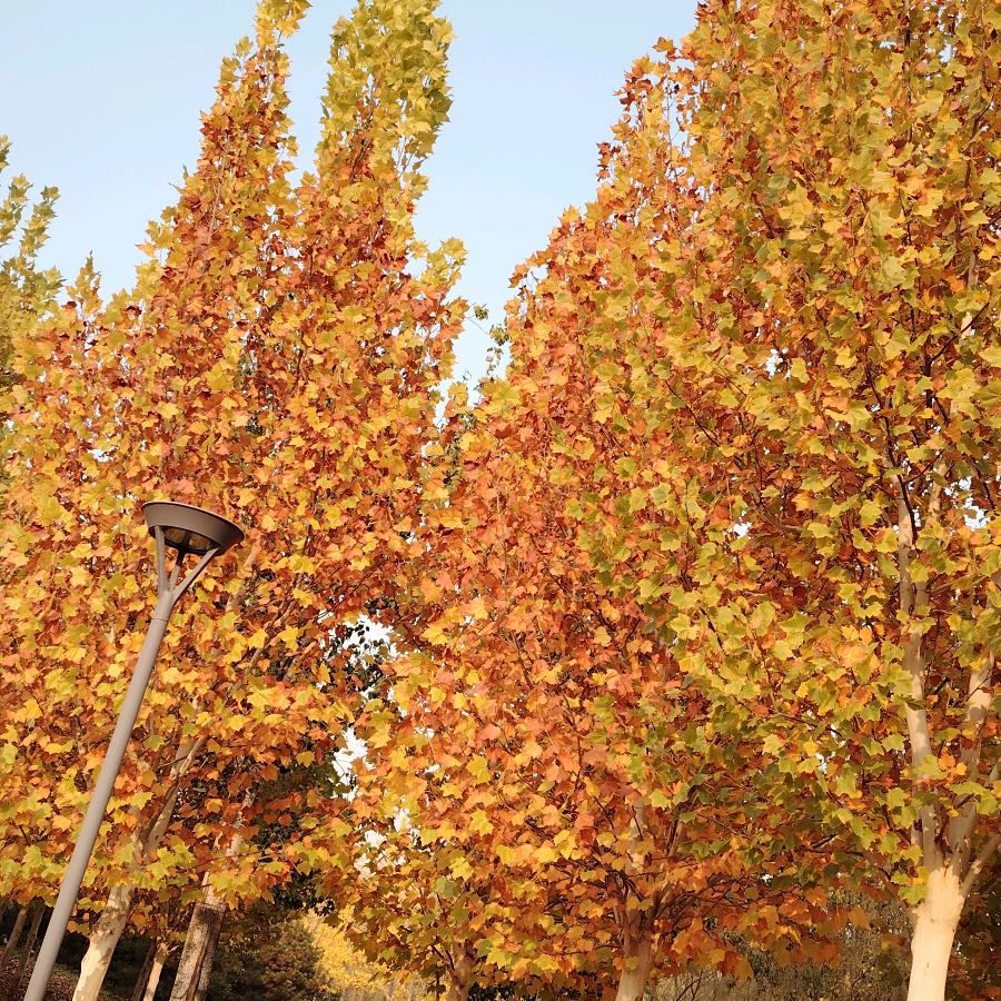 时间会给我答案🌹🌹